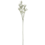 Babys Breath Stem White 52cm