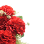 Carnations Red 9 Piece 48cm Close