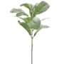Lambs Ear Stem Light Green 35cm