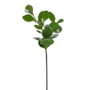 Leaf Spray Stem Green 60cm
