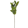 Leaf Spray Branch Green 75cm