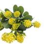 Mini Pin Cushion Flower Bunch With Greenary Yellow 32cm Close