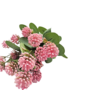 Mini Pin Cushion Flower Bunch With Greenary Pink 32cm Close
