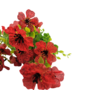 Petunia Flower Bunch Red 37cm Close