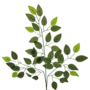 Ficus Leaf Stem Green 58cm