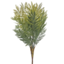Acacia Leaf Bush Dark Green 60cm