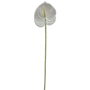 Anthurium Stem White 60cm
