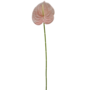 Anthurium Stem Baby Pink 60cm