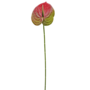Anthurium Stem Pink And Green 60cm