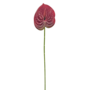 Anthurium Stem Maroon 60cm