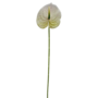 Anthurium Stem White And Green 60cm