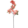 Bougainvillia Coral 75cm