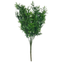 Fine Leaf Bush Green 54cm3