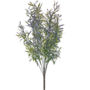 Fine Leaf Bush Lilac 54cm
