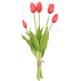 Tulips Red 5 Piece 40cm