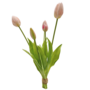 Tulips Light Pink 5 Piece 40cm Close
