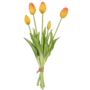 Tulips Orange 5 Piece 40cm