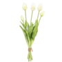 Tulips White 5 Piece 40cm
