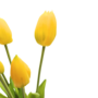 Tulips Yellow 5 Piece 40cm Close