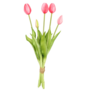 Tulips Cerise 5 Piece 40cm