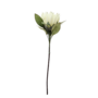 King Protea White 74cm