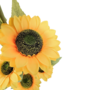 Sunflowers Yellow 122cm