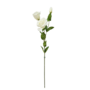 Lisianthus White 72cm