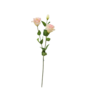 Lisianthus Cream And Pink 72cm
