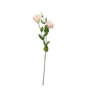 Lisianthus White And Pink 72cm