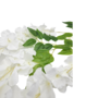 Wisteria White 104cm Close Up
