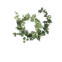 Ivy Garland Green 18m 2