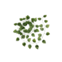 Leaf Garland Green 2m 2