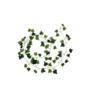 Ivy Garland Dark Green 2m 2