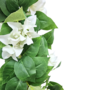 Bougainvillea Garland White 1m Close Up