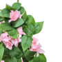 Bougainvillea Garland Pink 1m Close Up