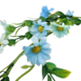 Daisy Garland Blue Close Up
