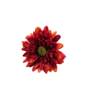 Mini Single Stem Gerbera Red And Orange 37cm Close Up