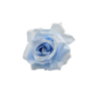 Single Stem Rose Baby Blue 48cm Close Up