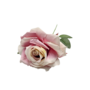 Single Stem Rose Dusty Pink 48cm Close Up