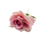 Single Stem Rose Blush Pink 48cm Close Up