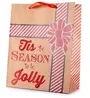 Medium Red Glitter Christmas Thick Paper Gift Bag With Tis The Season Design 23x18cm