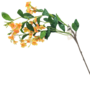 Wild Blossom Stem Orange 85cm