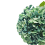 Hydrangea Dusty Mint Green 66cm 2