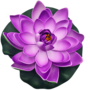 Water Lily Lilac 18cm 2