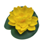 Small Water Lily Yellow 10cm