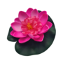 Small Water Lily Pink 10cm