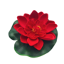 Small Water Lily Red 10cm