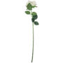 Single Stem Rose White 48cm