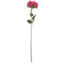 Single Stem Rose Hot Pink 48cm