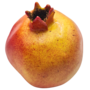 Artificial Pomegranate 10cm Copy